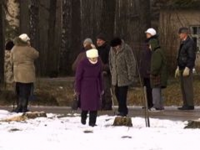 Vidzemes TV: Strenčos domstarpības izraisa represēto piemiņas vietā nozāģētie bērzi