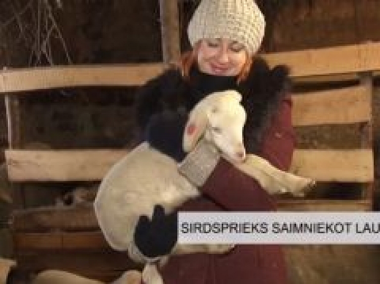 Latgales Reģionālā TV: Sirdsprieks saimniekot laukos