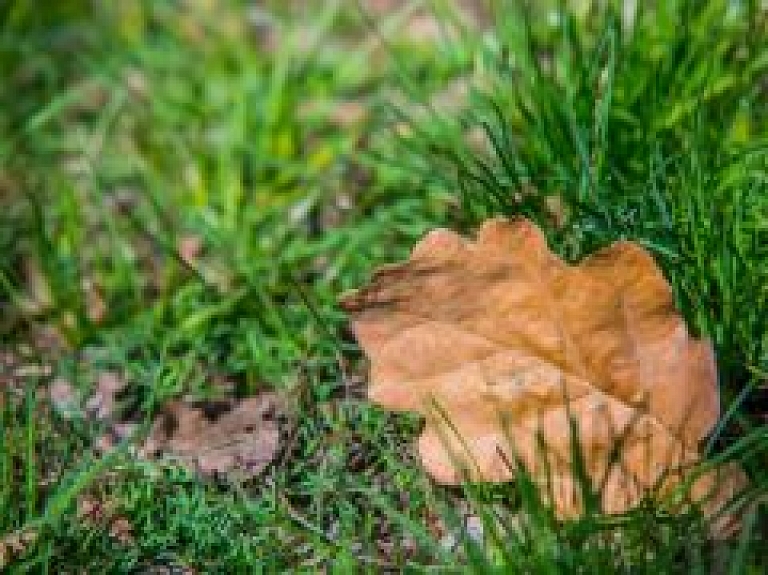 "Eco Baltia vide" vēl cer uz sadarbību ar Jūrmalu, piedāvājot "visizdevīgāko cenu"