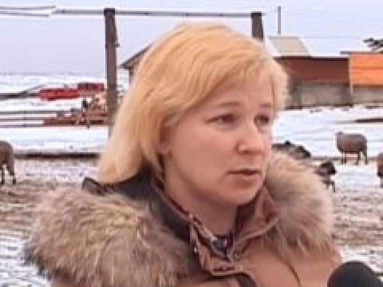 Saimniecības "Krīgeri" īpašniece: zemniekošana mums ir asinīs