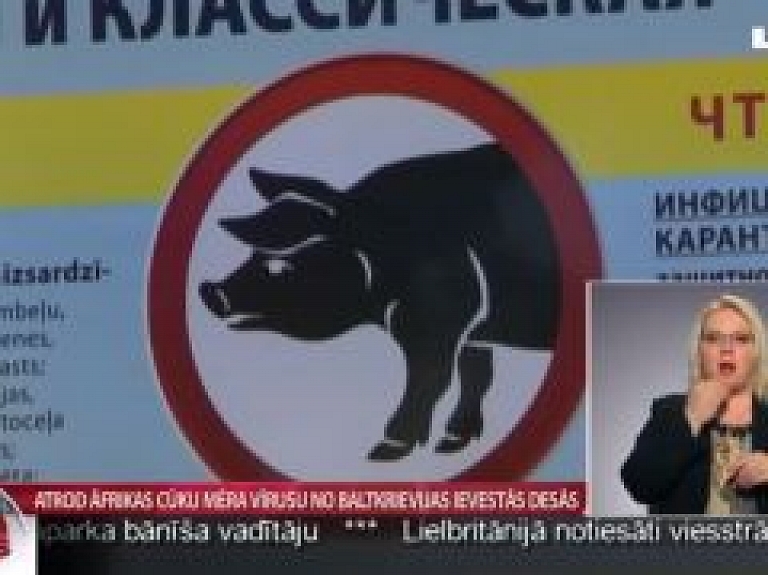 Atrod Āfrikas cūku mēra vīrusu no Baltkrievijas ievestās desās
