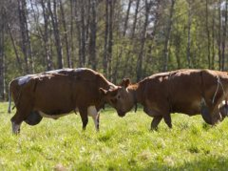 Vidējās un lielās saimniecības apsaimnieko 63,6% lauksaimniecības zemes