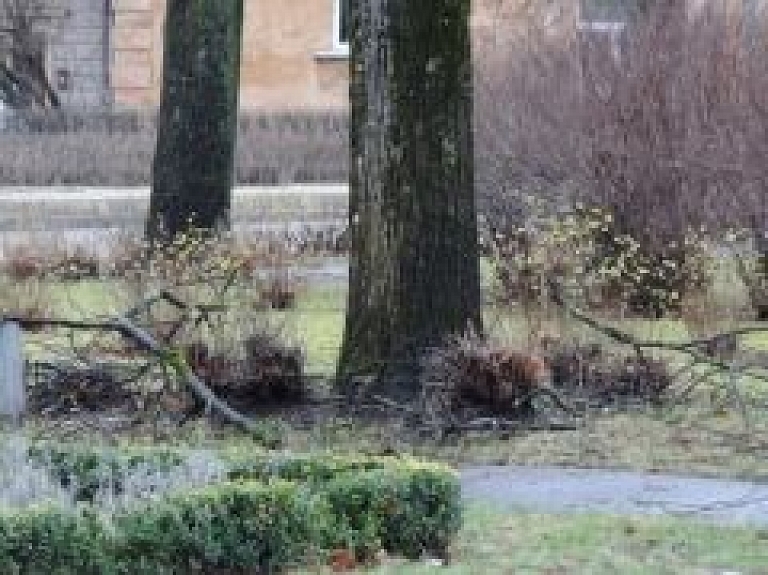 "Billie" nav iekļuvusi starp 13 spēcīgākajām vētrām Latvijas vēsturē
