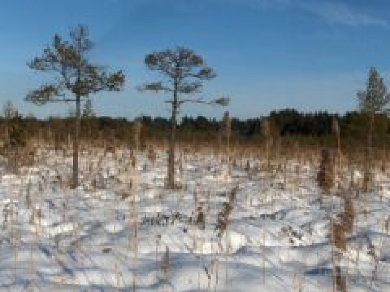 "Meža mājā" stāstīs par vilkiem un veidos puzurus
