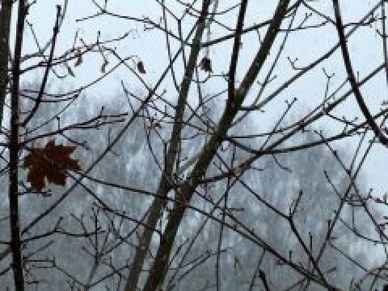 Nedēļas otrajā pusē Latviju varētu piemeklēt vētra