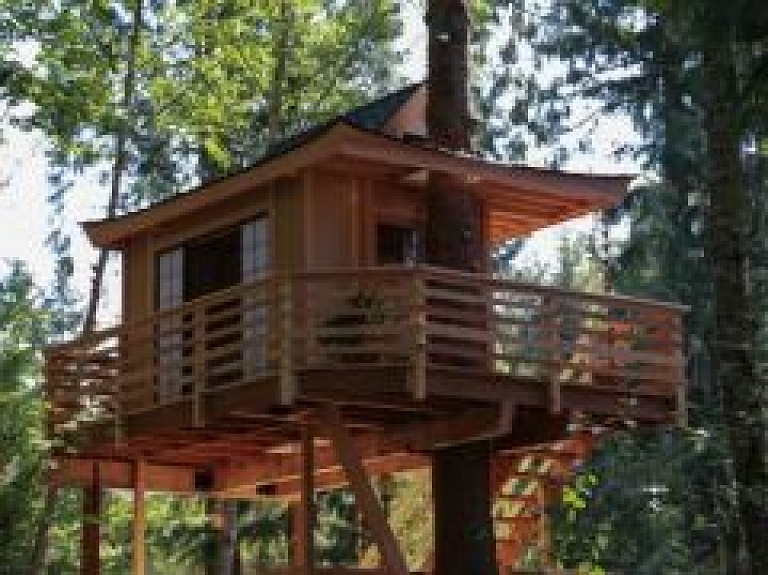 Profesionāļa padomi, kā labāk uzbūvēt māju kokos