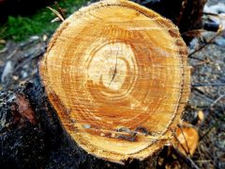 Šogad ievērojami pieaudzis pieteikto atlīdzību skaits par koka ēkām nodarītiem bojājumiem