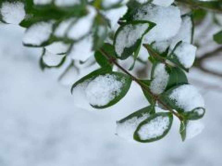 Turpmākās dienas gaidāma sala mazināšanās
