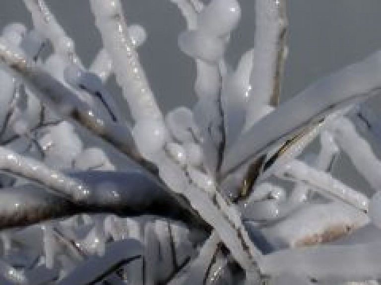 Turpmākajās dienās visā Latvijā gaidāms sals