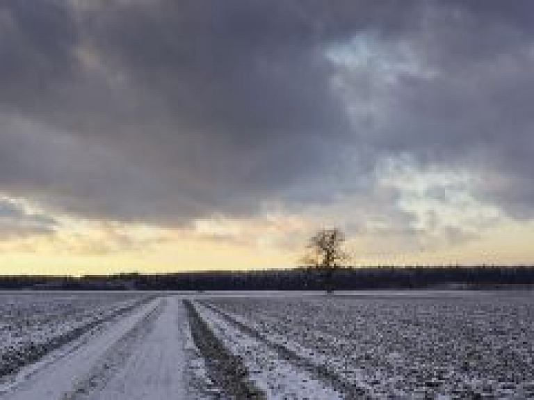 VAAD: Graudaugu sējumi ziemai ir labi sagatavojušies