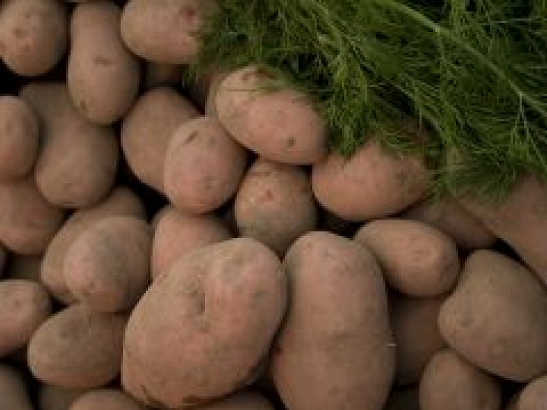 Krāsainie kartupeļi ir vērtīgāki