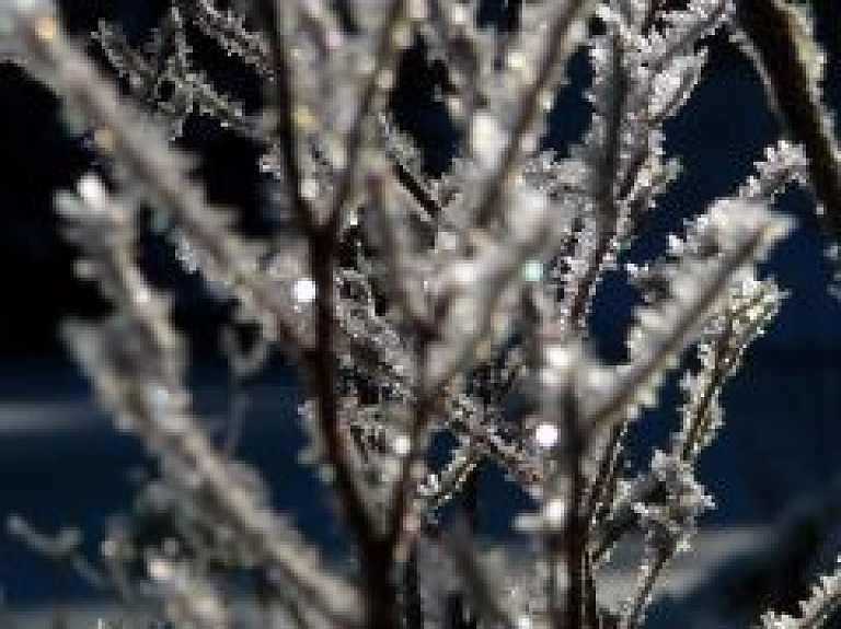 Sniega segas biezums piektdien varētu sasniegt 6-10 centimetrus