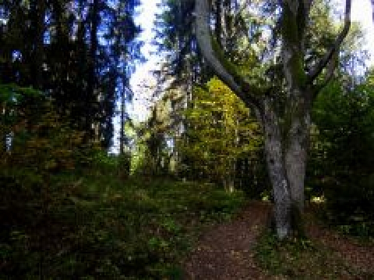 Notiks pārgājiens "Buļļupes krasti"