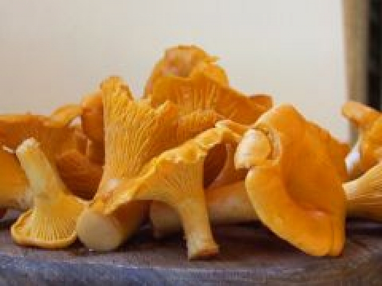 Valmieras tirgū nopērkamas pirmās gailenes