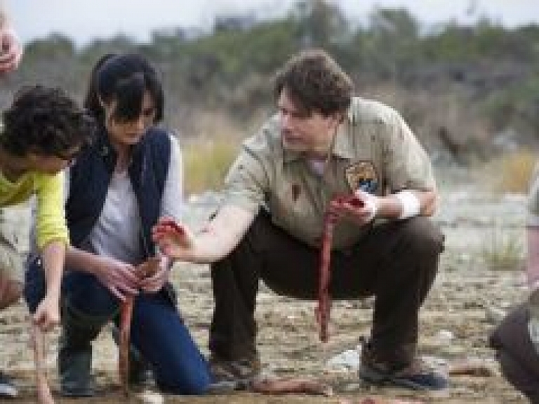 Iepazīsti asinskāros Sibīrijas vilkus Briesmoņu mēneša laikā