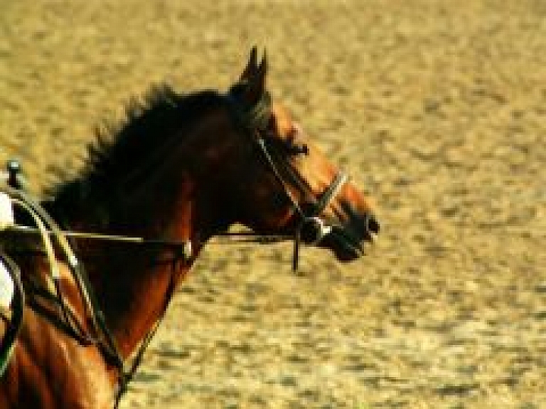 Tuvojas Jauno jātnieku skolas sezonas noslēguma sacensības