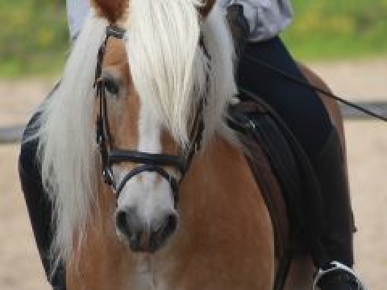 Inčukalnā norisināsies Jauno Jātnieku skolas pirmās sezonas sacensības