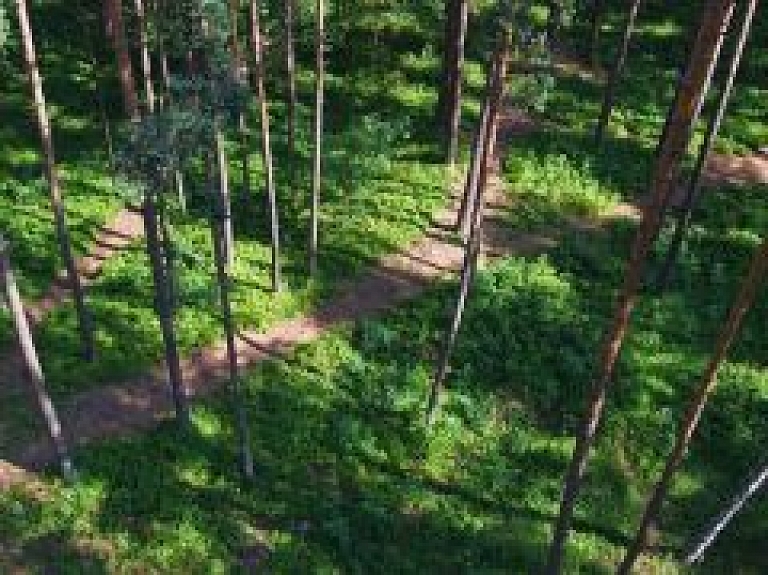 Latvija un Krievija vienojas par sadarbību mežsaimniecībā