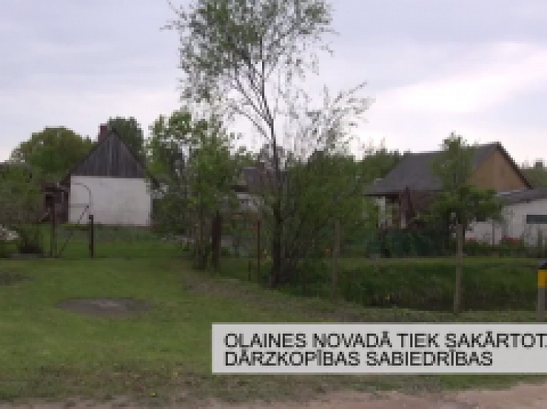 Latgales Reģionālā TV: Olaines novadā tiek sakārtotas dārzkopības sabiedrības