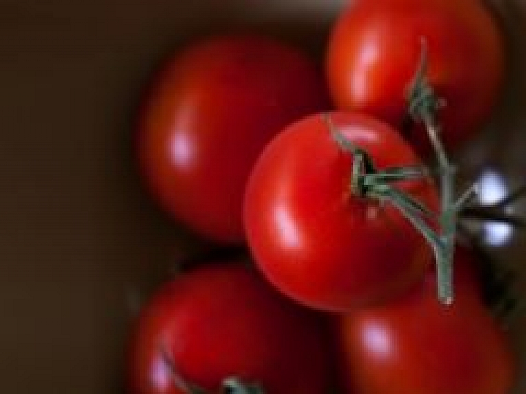 Getliņos novākta pirmā šīs sezonas tomātu raža