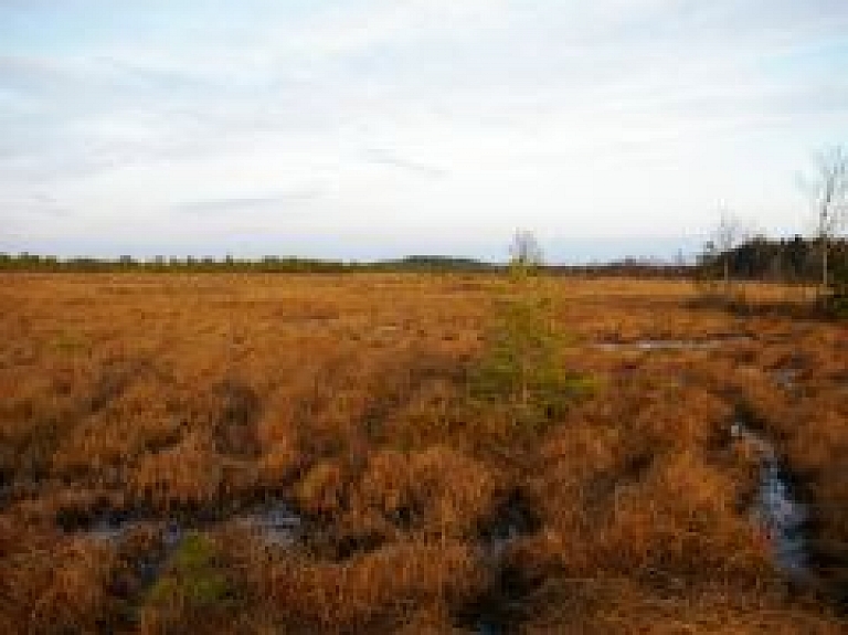 "BalviFlora" plāno paplašināt savu darbību Salenieku purvā