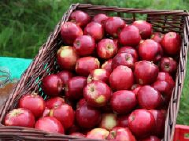 Talsu pauguraines pārstāvji piedalīsies izstādē "Rīga Food"