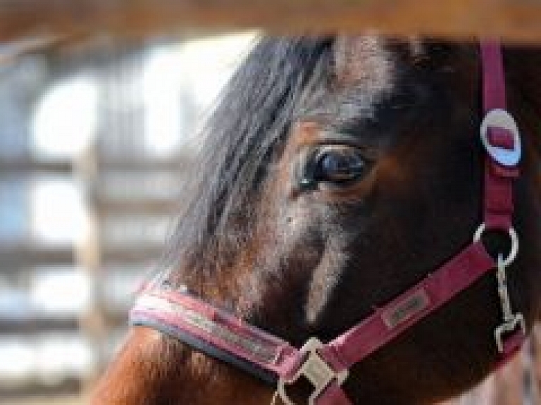 Tilžas pagastā norisināsies sacensības pajūgu braukšanā