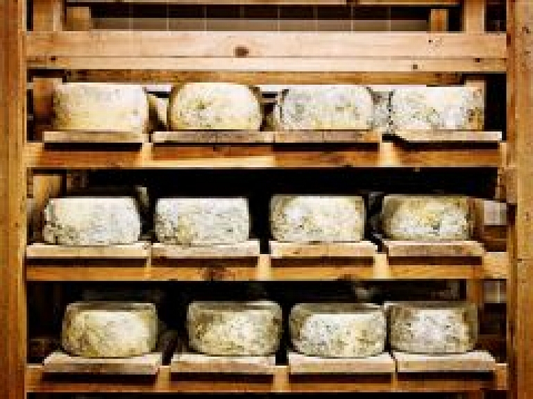 Ādažos atvērta jauna siera ražotne