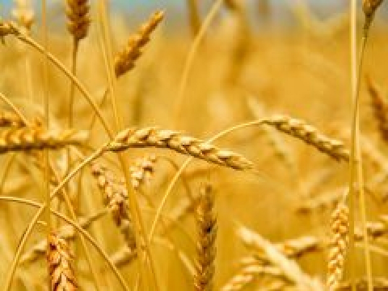 "Agrofirma Tērvete" krietni uzlabojusi peļņas rādītājus