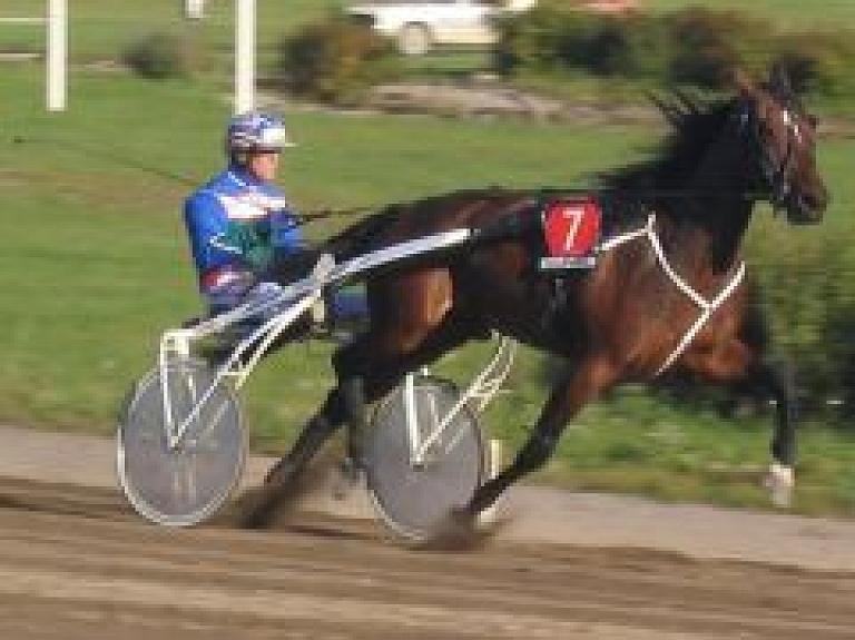 Ar Siguldas ID karti bezmaksas ieeja Vislatvijas zirgu dienās