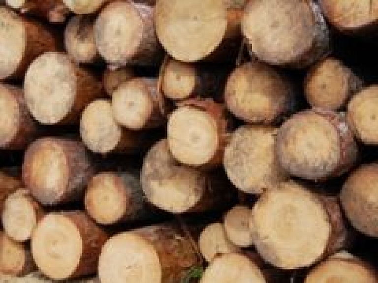 "DLLA" plāno turpināt darbu līdzšinējā apmērā