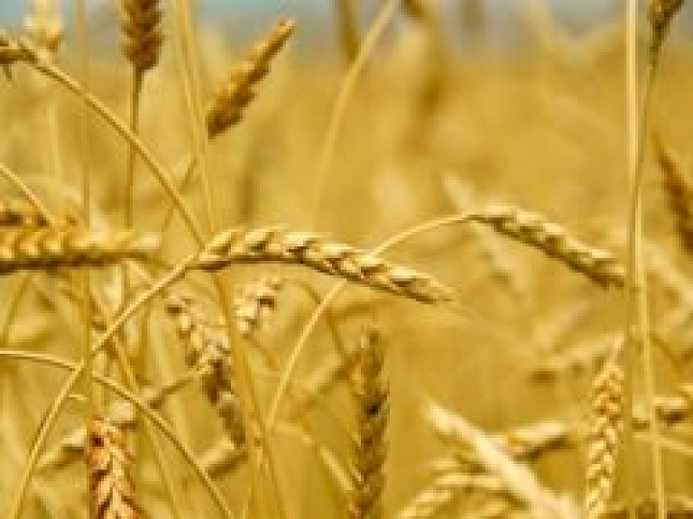 "Otaņķu dzirnavnieka" peļņa pērn pieaug par 19%