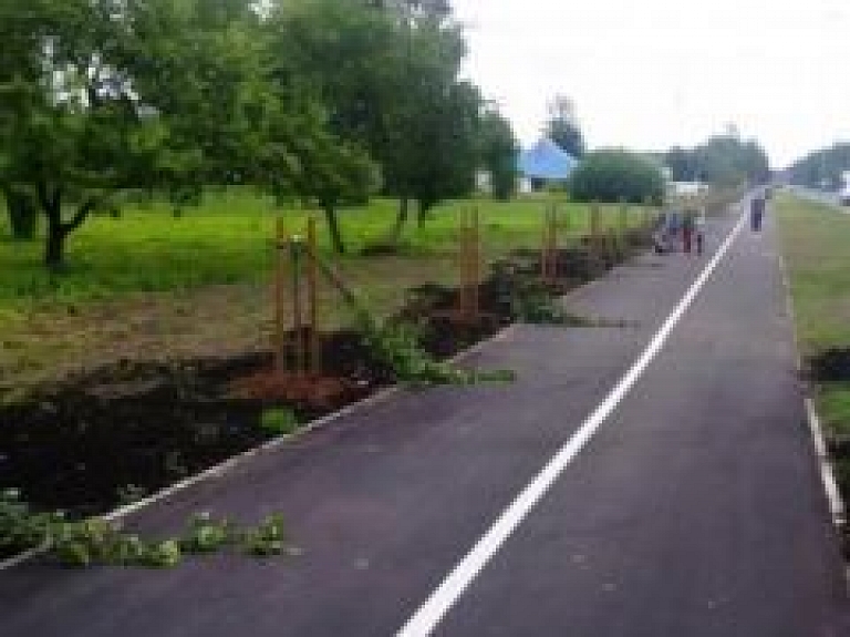 Kauguros nolauztas 13 nesen iestādītas liepas