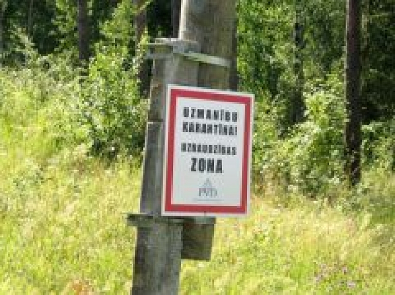 Izsludināta cūku mēra karantīna Viļakas un Gulbenes novada pagastos