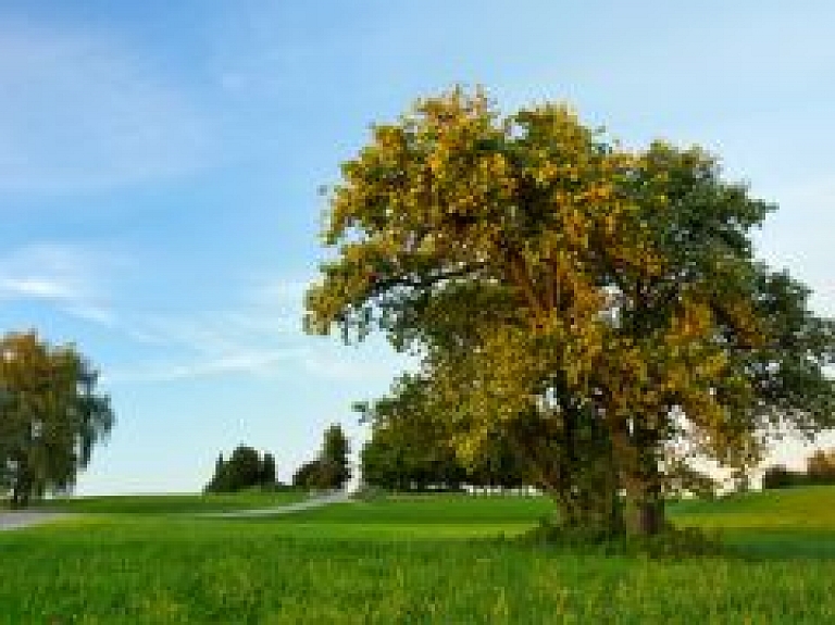 Krāslavas novadā ārvalstnieki iegādājušies īpašumus 78 000 latu vērtībā