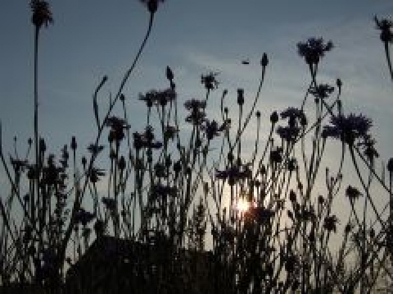 Jūrmalā svinēs vasaras saulgriežus