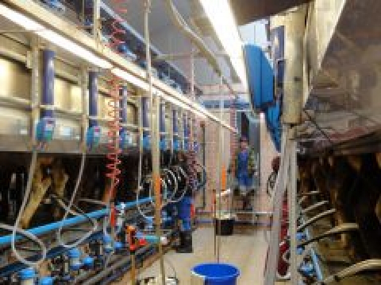 "Vecaucē" uzstādīta datorizētā ganāmpulka vadības sistēma