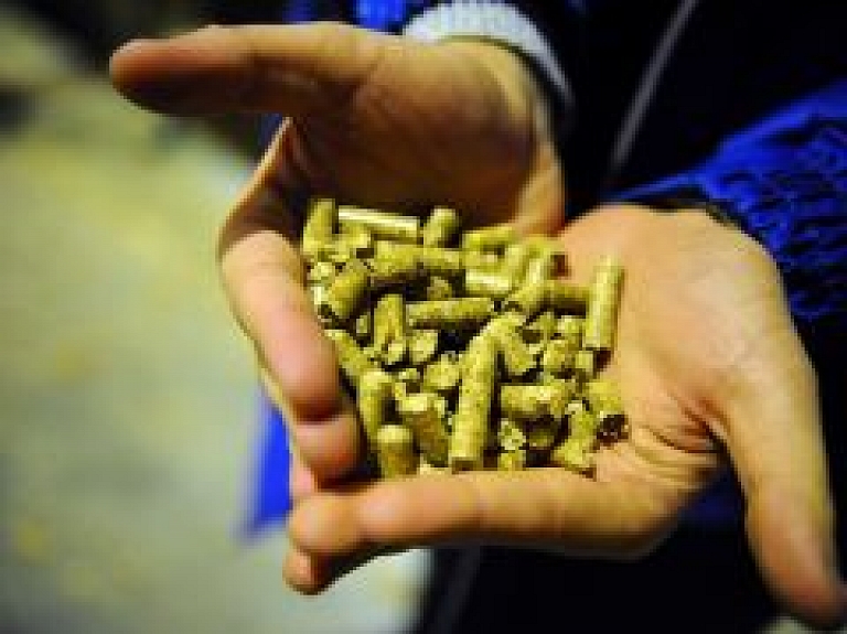 Daukstu pagastā būvēs kokskaidu granulu rūpnīcu