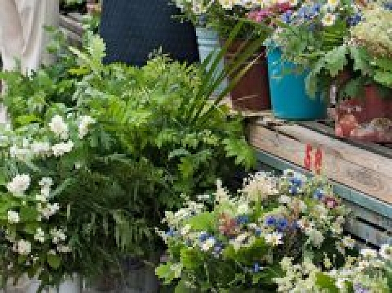 Jūnijā Valmieras pusē norisināsies dažādi brīvdabas pasākumi