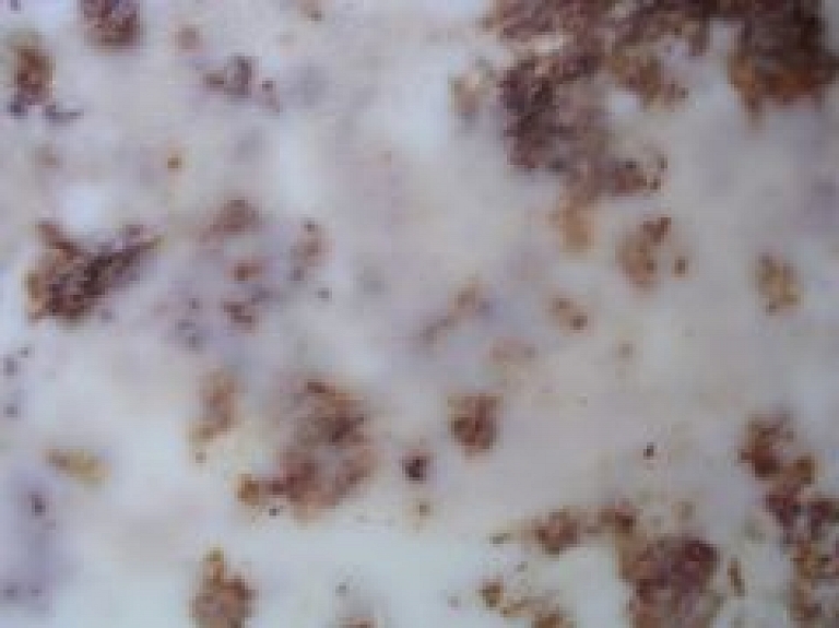 Drustu pienotavā ierīko tauku kausētavu