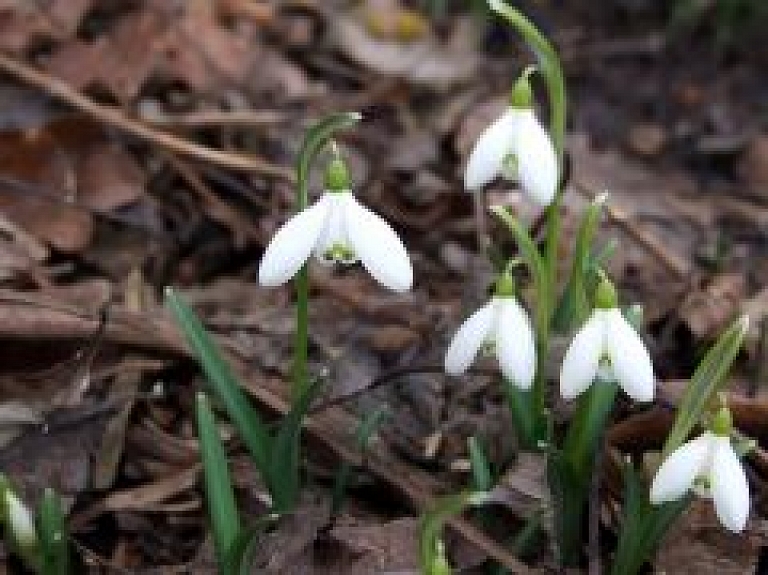 Jūrmalā norisināsies Lielās Dienas svinības
