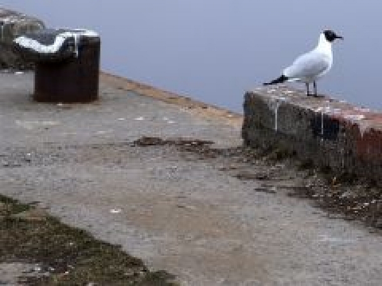 Mērsraga ostas robežas plāno būtiski paplašināt