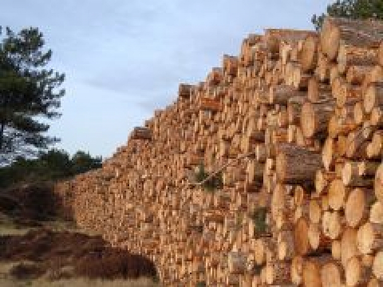 Mežizstrādes uzņēmumam "Jubergs" mainās vadība