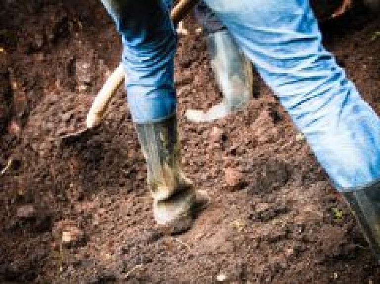 Jaunieši Krāslavas novadā labiekārto aktīvās atpūtas vietu