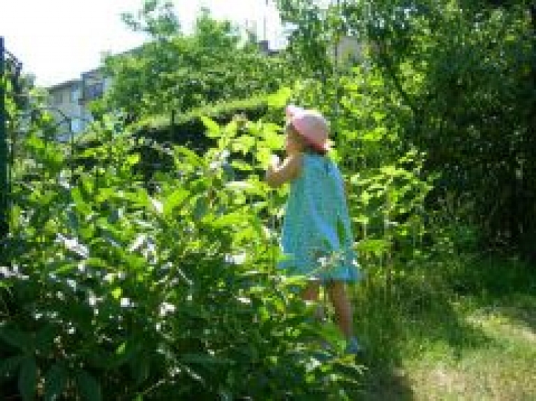 Karstajā laikā mediķi aicina izvēlēties atbilstošu apģērbu un ilgstoši neuzturēties saulē