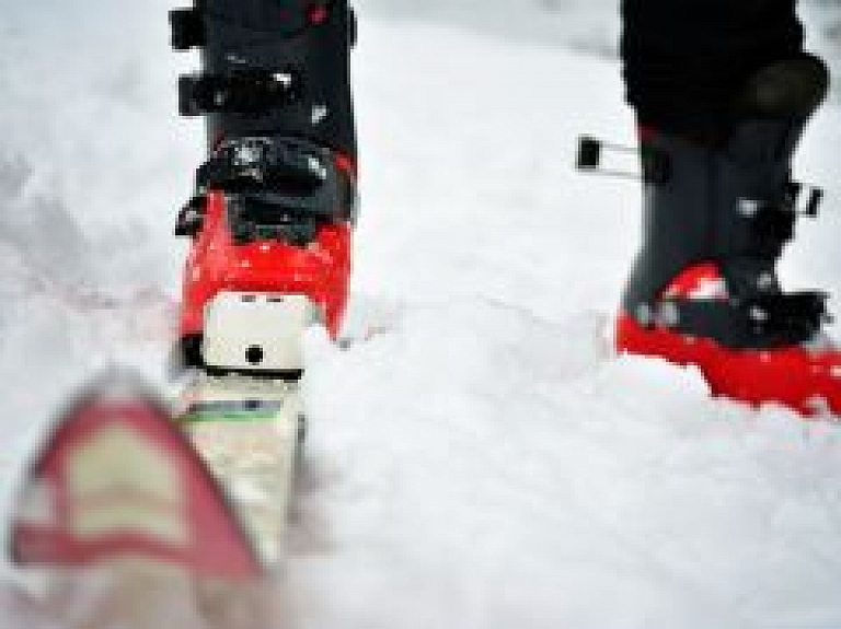 Siguldietei panākumi kamanu suņu sporta sacensībās