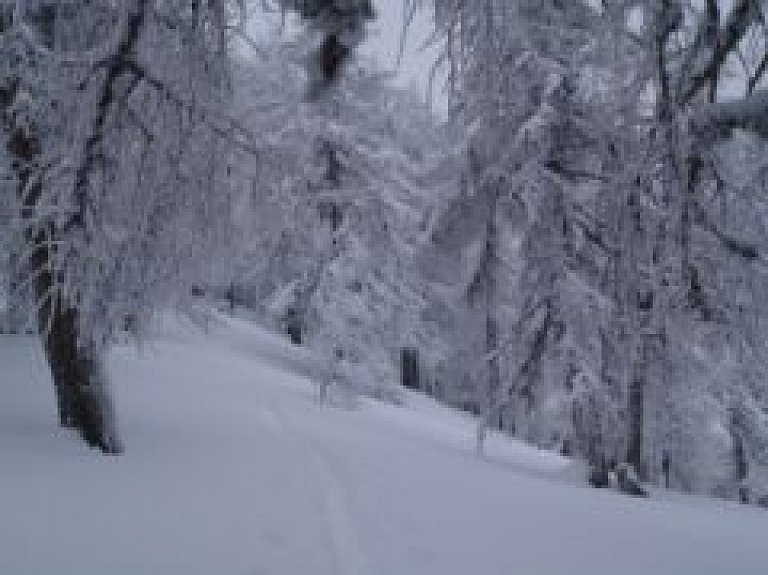 Vietalvā norisināsies tautas slēpošanas maratons