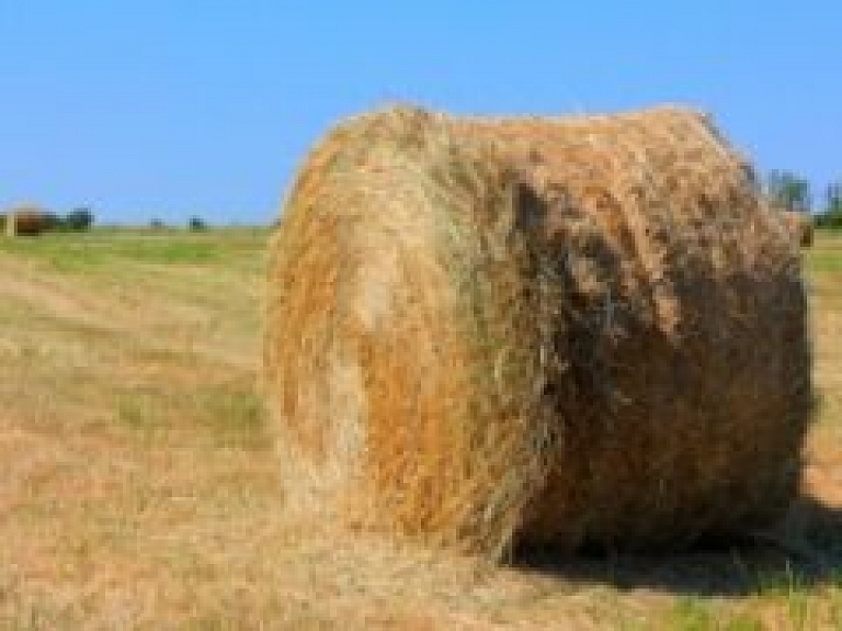 Cēsu students sāk ražot siena un skaidu granulas