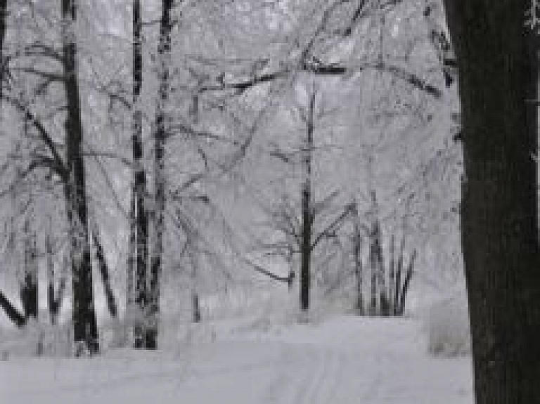 Jau ceturto reizi Ozolniekos notiks Ziemas skrējiens