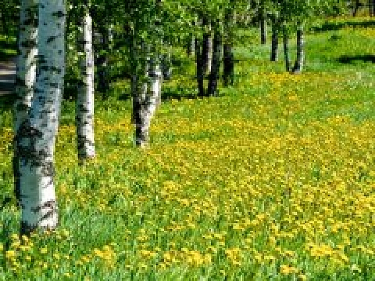 Lielākais karstums sagaidāms Kurzemē un Zemgalē